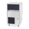FABRIQUE DE GLACONS EN CUBE 47KG