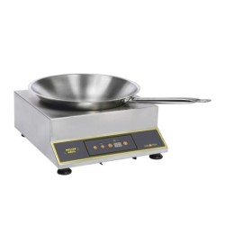 WOKS INDUCTION